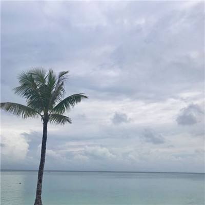 豪门总裁内购破解版下载